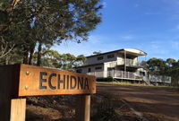 Echidna on Bruny - Tourism Caloundra