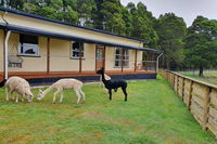 Farm Stay Lowana Strahan - QLD Tourism