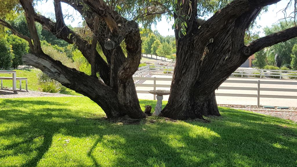 Bibaringa SA Port Augusta Accommodation