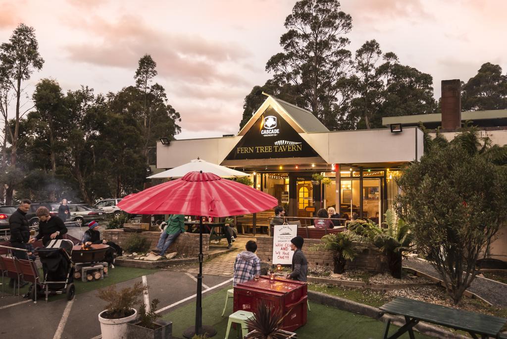 Fern Tree TAS Accommodation Mt Buller