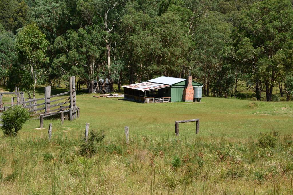 Forest Land NSW QLD Tourism