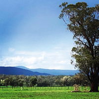 Fourjay Farmstay - Kingaroy Accommodation