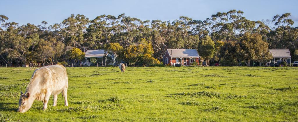 Freshwater Creek VIC Accommodation Brunswick Heads