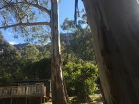 Grampians Nest - SA Accommodation