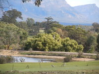 Grampians Old Man Emu Stay - Accommodation Mount Tamborine