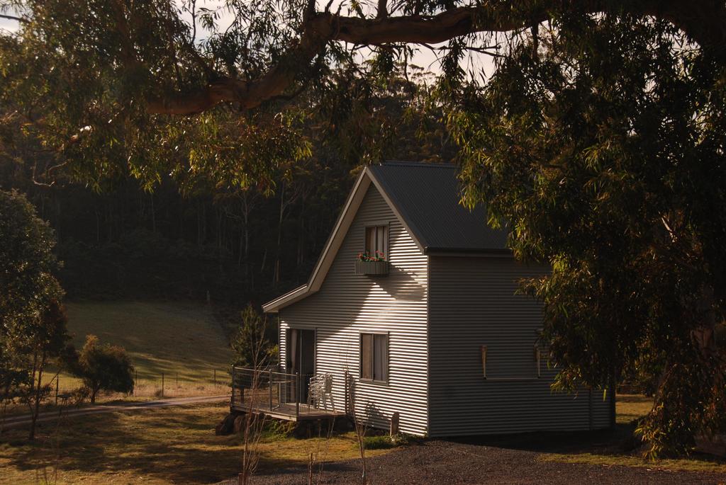 Black Hills TAS Accommodation Australia