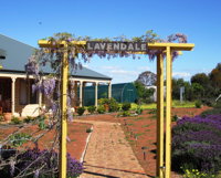 Lavendale Farmstay and Cottages York - Accommodation NT