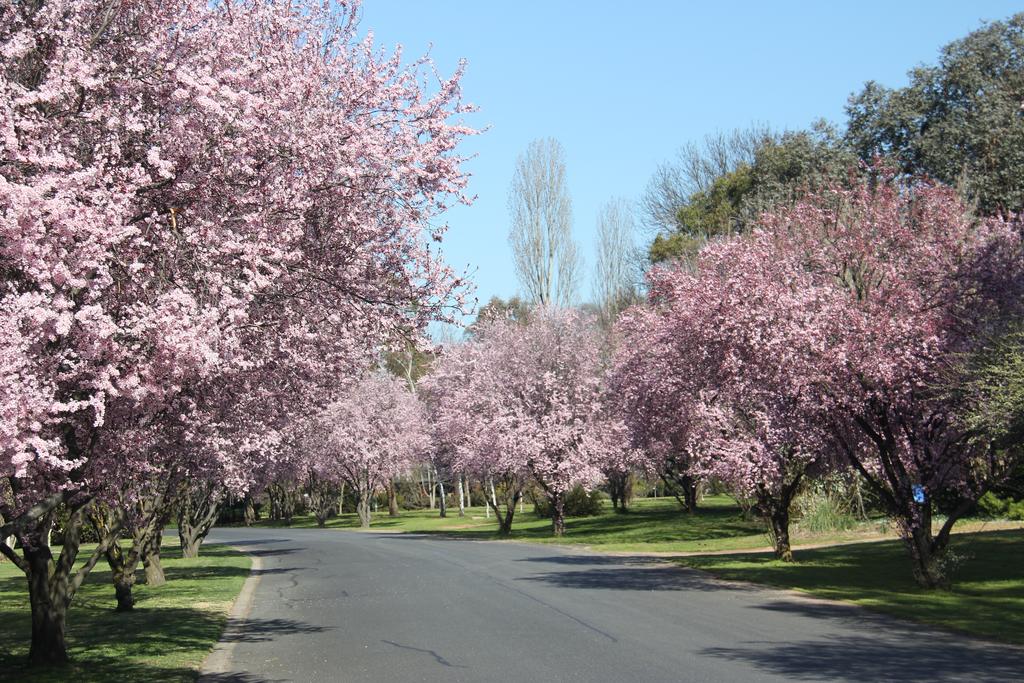 Kelso NSW Tourism Adelaide