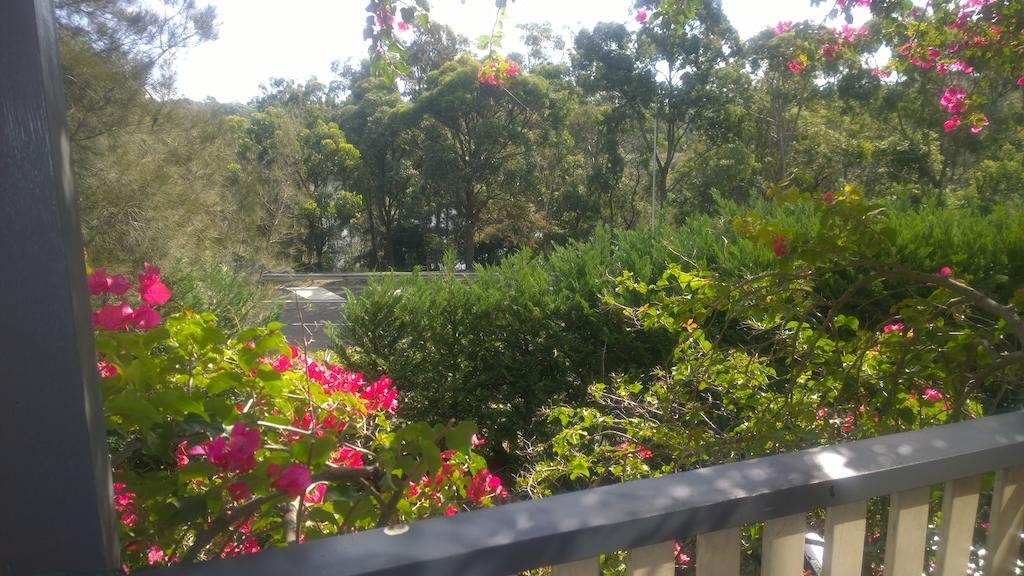 Linley Point NSW Accommodation Bookings