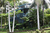 Montville Country Cabins - Accommodation Daintree