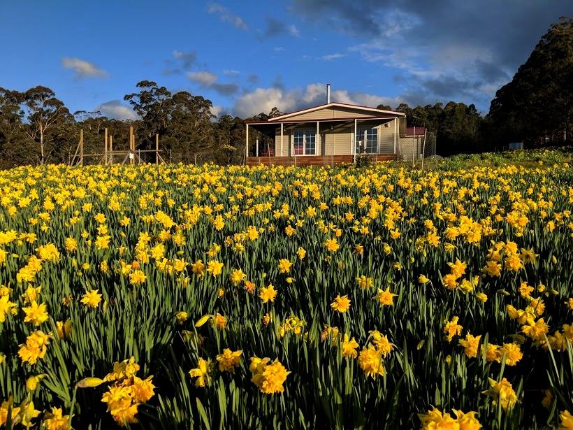 Golden Valley TAS Accommodation Mermaid Beach