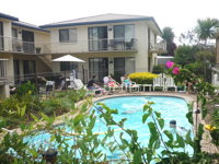 Ocean Drive Apartments - Accommodation Daintree