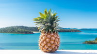 Pineapple House Whitsundays - Sunshine Coast Tourism