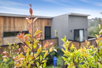 Pretty Haven - Mount Gambier Accommodation