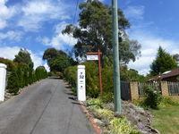 Protea Hill - Sydney Tourism