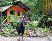 Rainforest Hideaway - Tweed Heads Accommodation