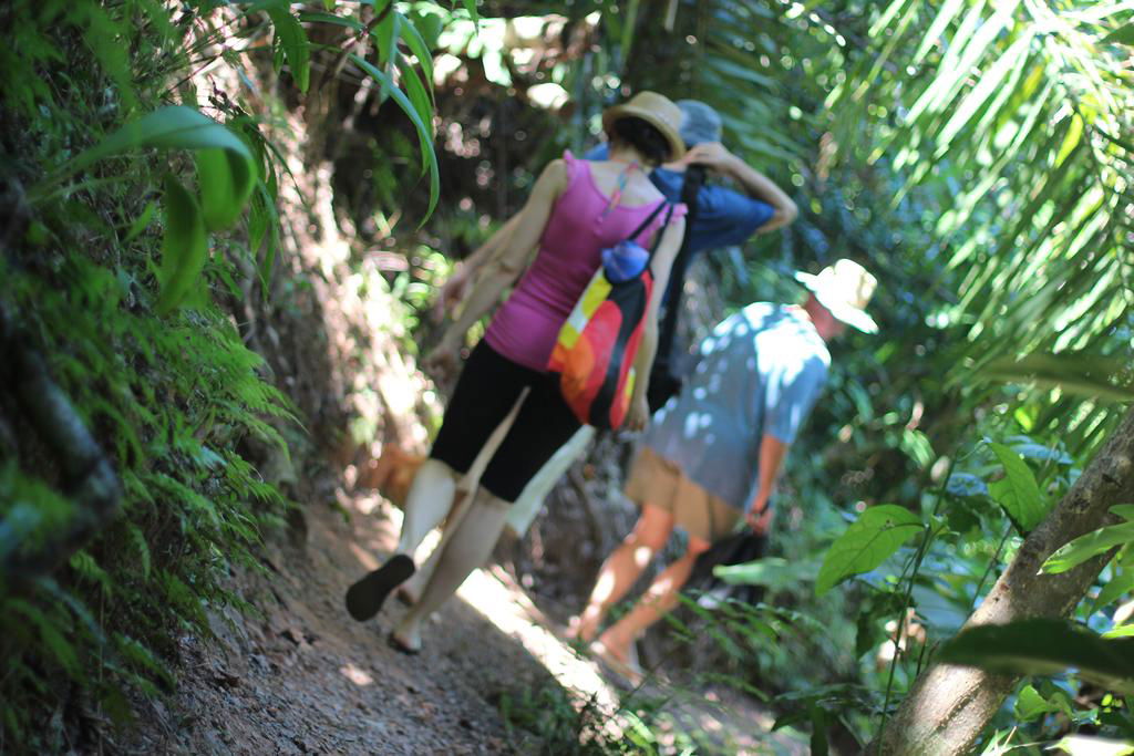 Garners Beach QLD Accommodation Daintree