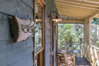 Scribbly Gum - Mount Gambier Accommodation