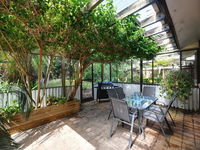 Shady Treez - Pet Friendly - Accommodation Noosa