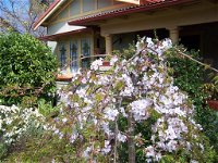 Book Katoomba Accommodation Vacations Holiday Find Holiday Find