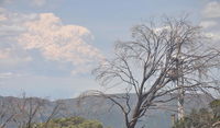 Snowflake 4 - Redcliffe Tourism