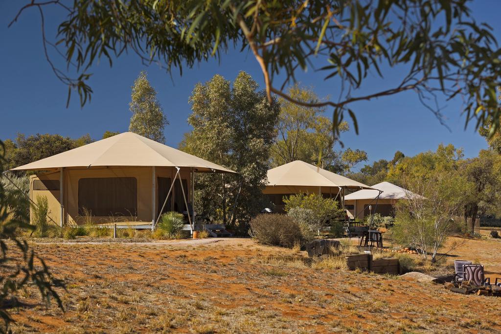 White Gums NT New South Wales Tourism 