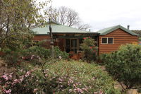 Sunflowers Animal Farm  Farmstay - Tweed Heads Accommodation