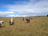 Susan River Homestead - Perisher Accommodation