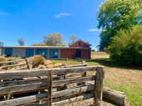 The Daydawn Dairy - Perched High Simple Living  What a View - Tweed Heads Accommodation