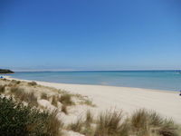 The Rosebud Beach Shack - Casino Accommodation