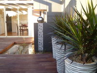 The Wet Lizard - Accommodation Redcliffe