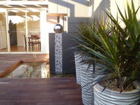 The Wet Lizard - Maitland Accommodation