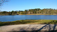 Towac Valley Cabins - Accommodation Yamba