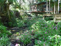 Treetops Montville - Tourism Search