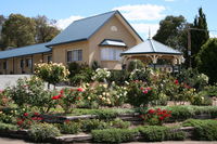 Willows Motel - Accommodation Georgetown