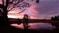 Wind Song Bed  Breakfast - Hervey Bay Accommodation