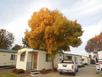 Wodonga Caravan  Cabin Park - Accommodation Daintree