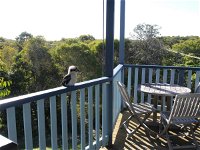 Blue House - Mount Gambier Accommodation