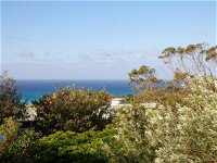 Seagrass - Accommodation Port Macquarie