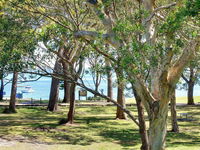 32 'Bay Parklands' 2 Gowrie Avenue - fantastic unit with air conditioning pool tennis court  spa - Accommodation Airlie Beach