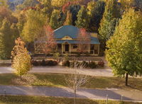 Autumn Beauty - Cottage 4 - Accommodation Sunshine Coast