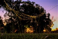Banyan Tree - Accommodation Adelaide
