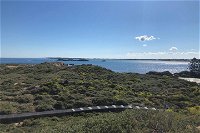 Penguin Island And Fremantle - Canoe Chocolate  Coffee - Accommodation Port Hedland
