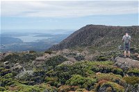 kunanyi/Mt Wellington Explorer Bus - One Way Tour, Hobart