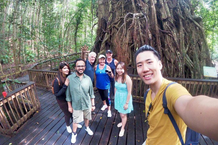 Cairns 4WD Waterfall and Rainforest Tour Including Kuranda Scenic Railway