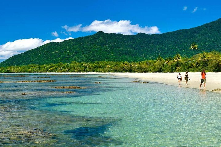 Private Daintree National Park Day Tour from Cairns Including Cape Tribulation and Mossman Gorge
