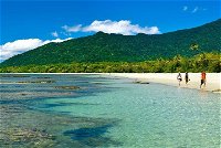 Private Daintree National Park Day Tour from Cairns Including Cape Tribulation and Mossman Gorge - Accommodation Hamilton Island