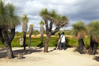 1 Day Exclusively Private Tour Of Phillip Island  The Penguin Parade - Broome Tourism