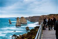 2 Day Exclusively Private Tour Of Phillip Island  The Great Ocean Road - Palm Beach Accommodation
