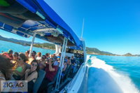 Whitehaven Beach Day Tour with Snorkel in Whitsundays Island, Airlie Beach